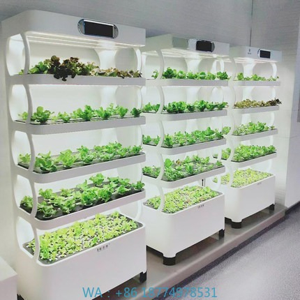 Iydroponic Automated Grow Syst - огляд і ціна Diy Home Automation System