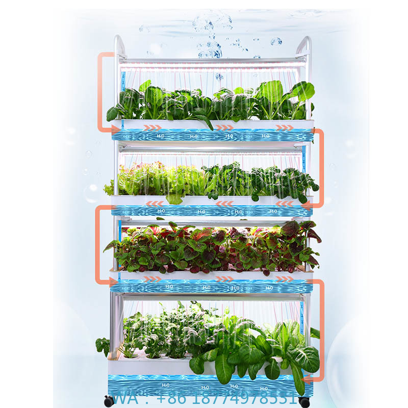 ydroponic Planting System Smar - огляд і ціна Diy Home Automation System
