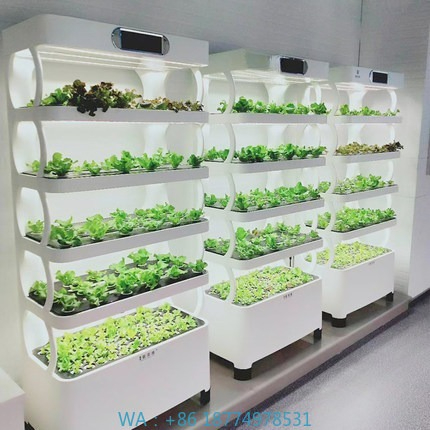 Hydroponic Automated Grow Syst - огляд і ціна Diy Home Automation System